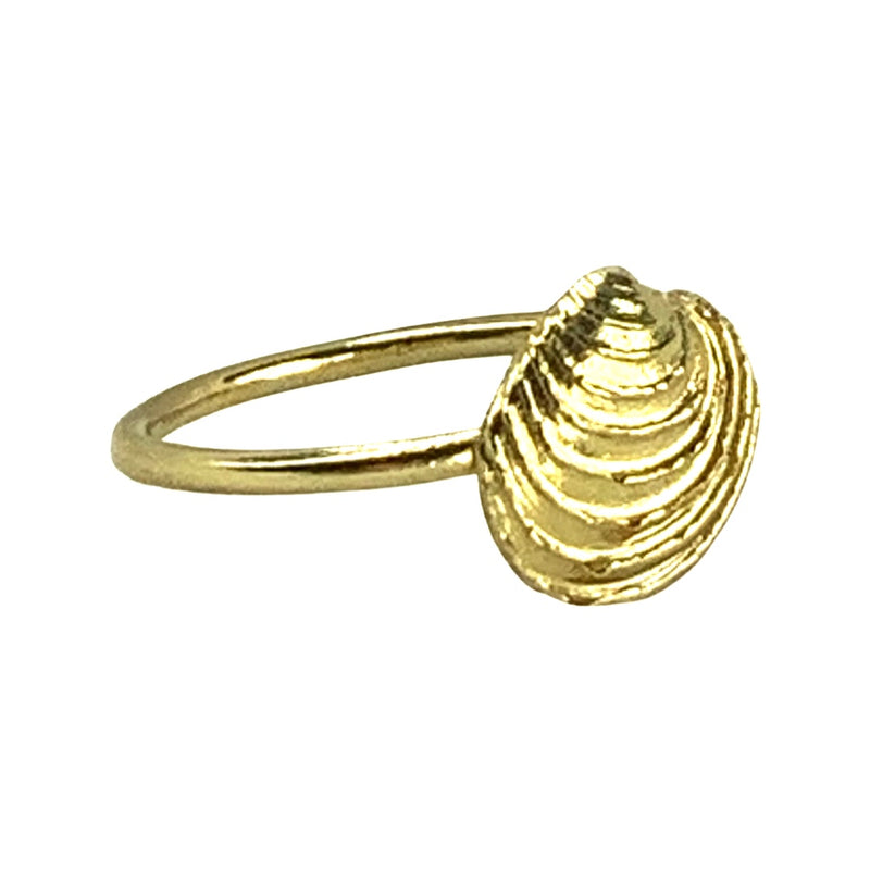 CLAM SHELL RING in SILVER OR GOLD