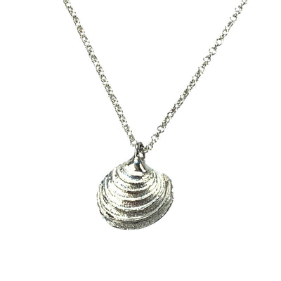 CLAM SHELL NECKLACE IN SILVER OR GOLD