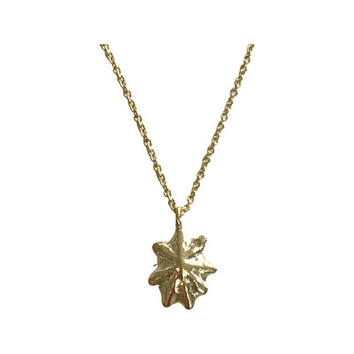 STAR SHELL NECKLACE IN SILVER OR GOLD