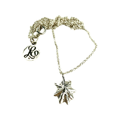 STAR SHELL NECKLACE IN SILVER OR GOLD